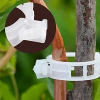 50100pcs reusable plastic plant clips support connect for vegetable tomato clip plants grafting fixing tools gardening supplies
