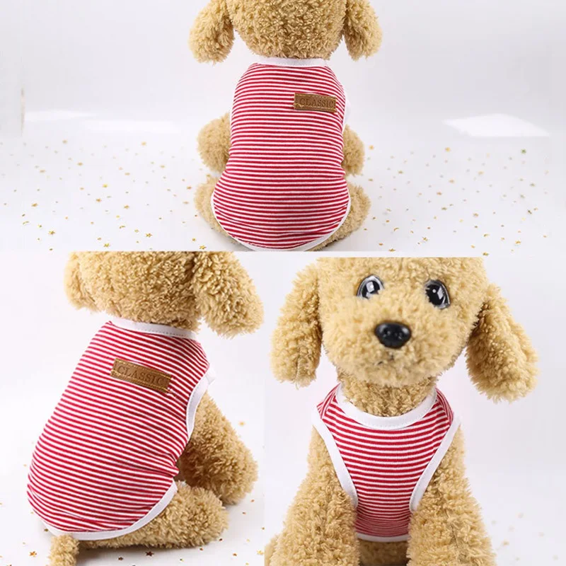 2020 женская спортивная футболка Летний жилет для кошек одежда пальто костюмы