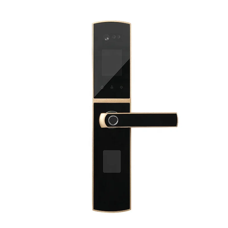 

Face Recognition Password Lock Palmprint Household Anti-theft Electronic door