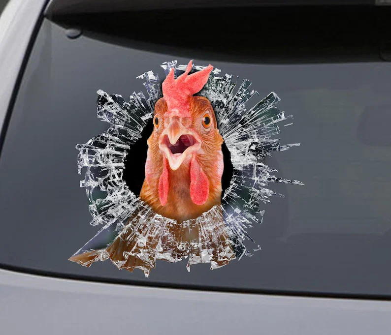 

chicken window decal, chicken car decal, funny chicken sticker