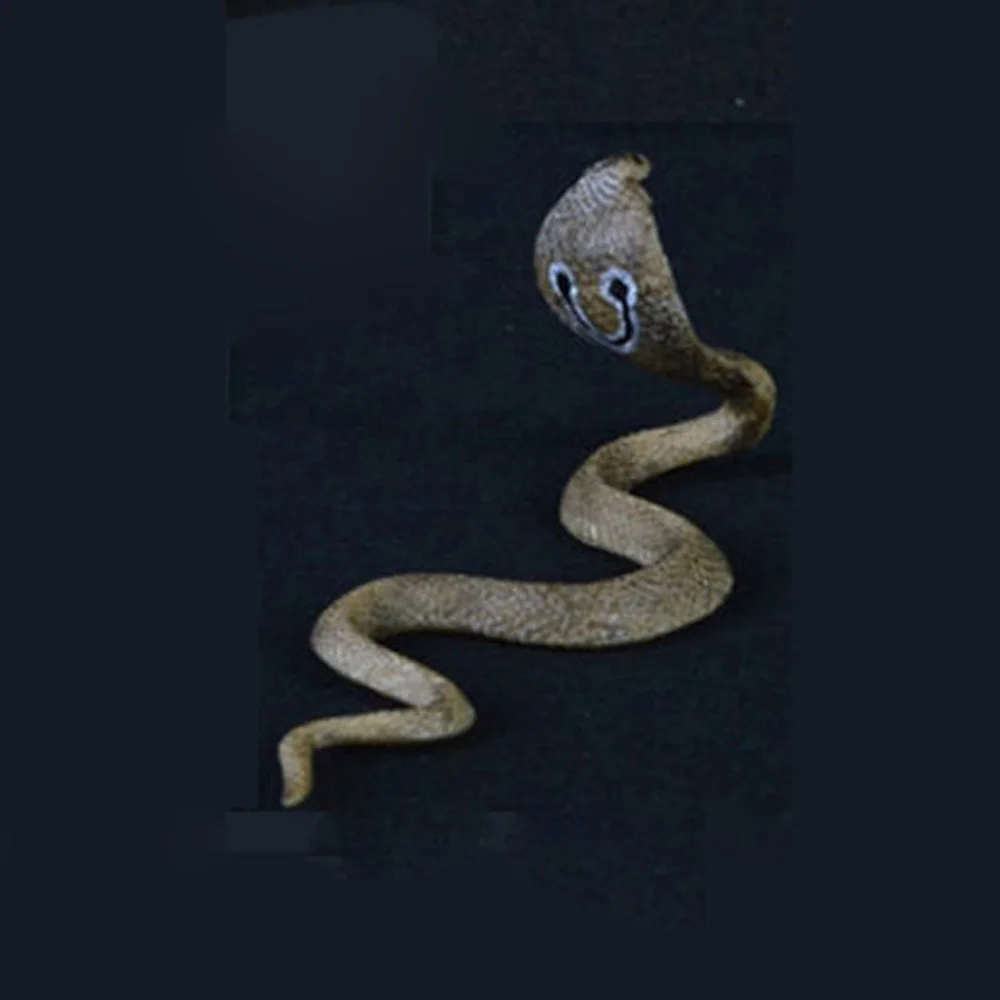 

17cm Realistic Cobra Snake Replica Animal Model Solid PVC Figure Kids Toy Gift Lifelike Shapes For Trick