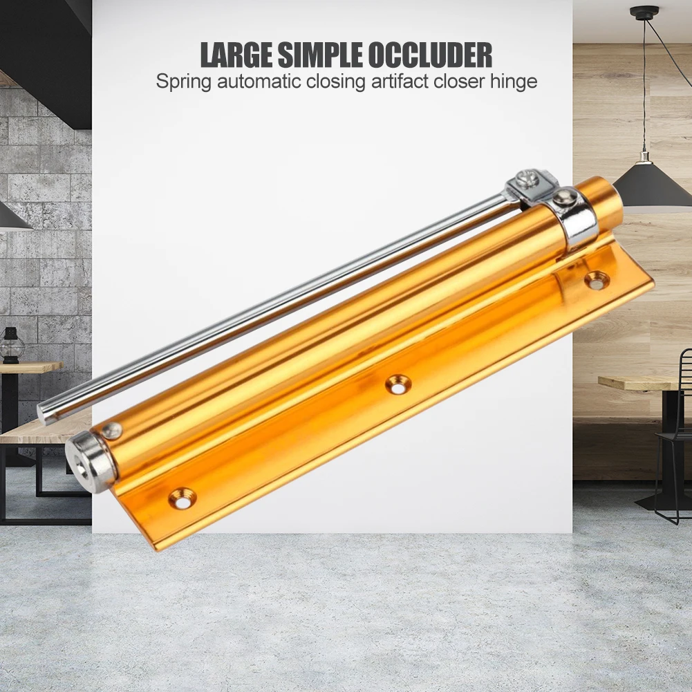 

Practical Door Closer Stainless Steel Light Automatic Spring Buffer Household Mini Closing Hardware Accessories