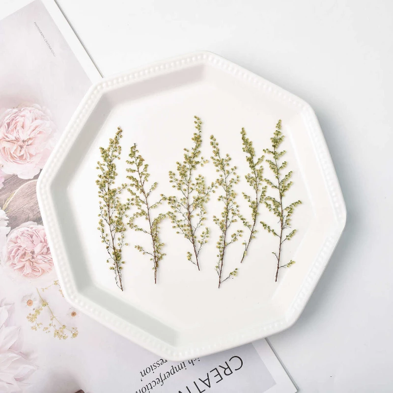 Прессованные Artemisia annua настоящие листья сухие цветы сделай сам фоторамка книги