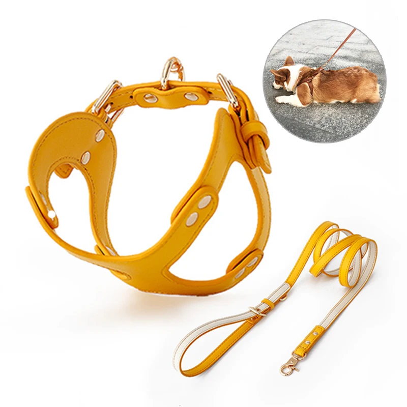 

Dog Harness Leash Dog Cat Chest Strap Cat Vest Traction Rope Dog Walking Chain Pet Vest Harness for Small and Medium Dogs Cats