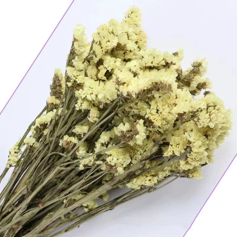 80gDried Flowers Pampas Decoration Home Wedding Christmas  2023 Dried Flowers Valentine's Day