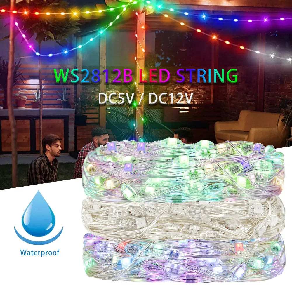 Светодиодная лента WS2812B RGBIC | AliExpress