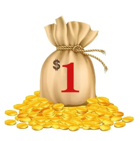 

Это для индивидуального заказа, разницы в цене, изменения заказа/стоимости доставки