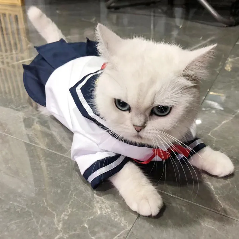 

Japanese pet JK uniform cat clothes cat dog cute shirt skirt Teddy VIP thin princess skirt