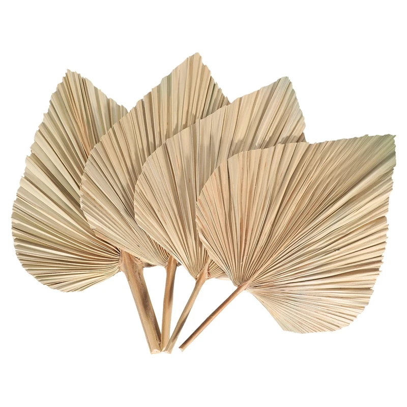 4 Pieces Natural Dried Palm Leaves Room Decor Tropical Dried Palm Fans Decor For A Beautiful Boho Home Wedding Decor