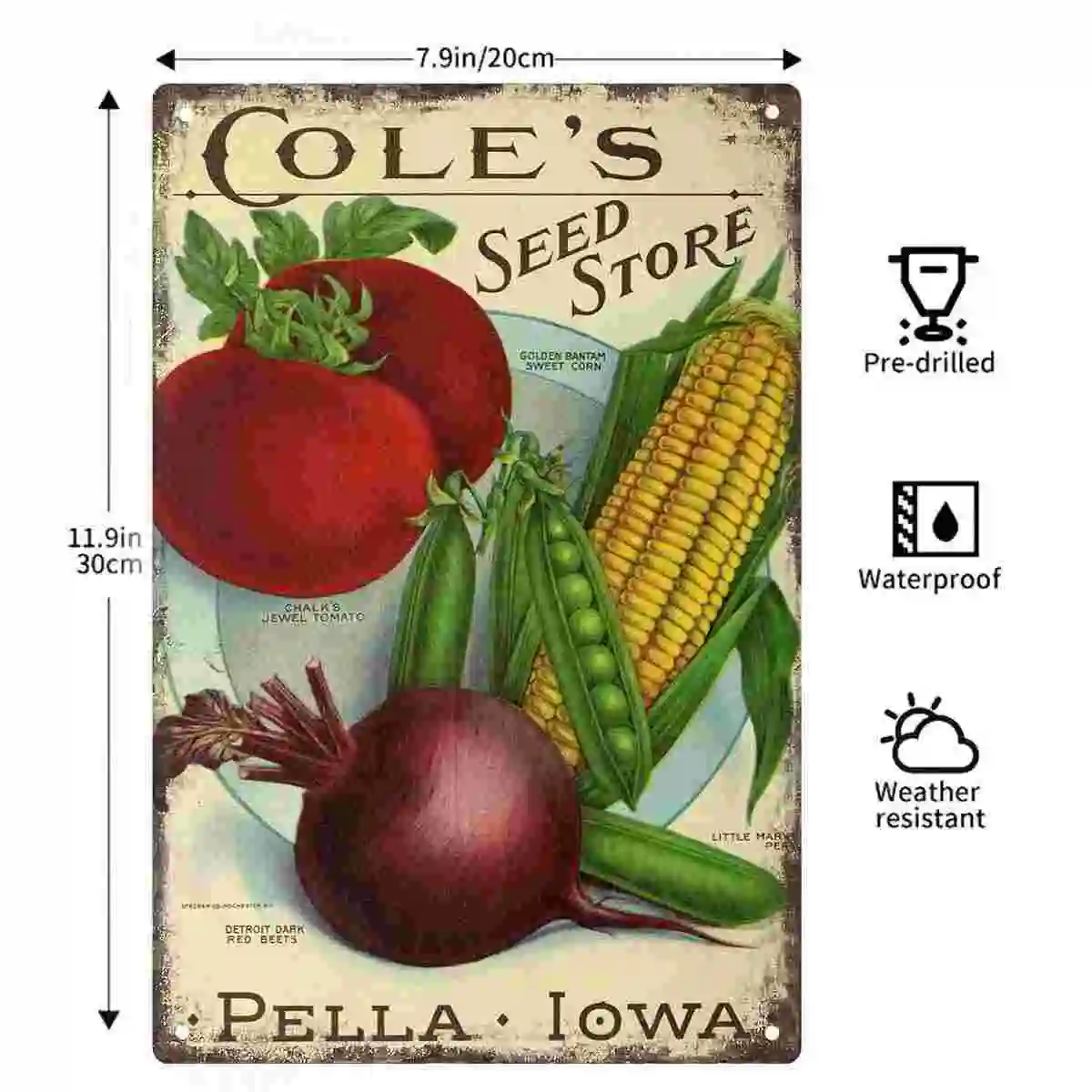 Фото 2D плоский постер (1 шт.) «Cole's Seed Store Pella Iowa» в винтажном стиле с изображением овощей, настенное украшение для дома, кафе, гаража, спальни, веранды №2