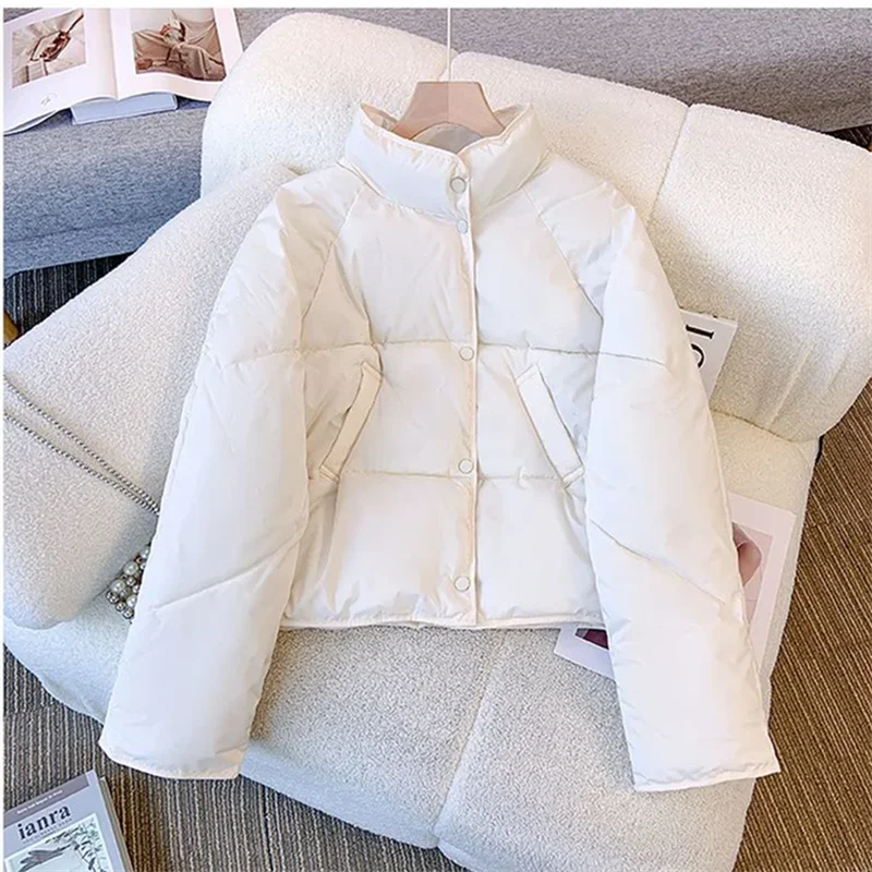 2024 новые корейские зимние парки женские короткие пуховые стеганые куртки