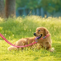 new reflective design dog leash pet outdoor training belt dog leash safety rope