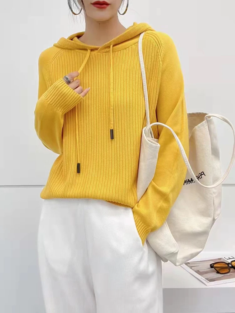 

Autumn Winter Long Sleeve Casual Knitted Women Hooded Female Sweater Solid Color Sweater Essentials Hoodie