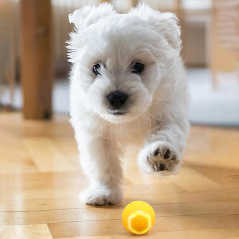 

Electric Cat Toy Interesting Sturdy Construction ABS Kitten Electric Rolling Ball Toy with LED Light Pet Supplies