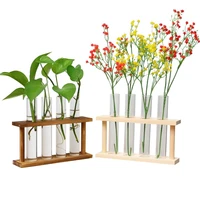 wooden frame hydroponic container glass test tube vase hydroponic green radish dried flower plant flower home decoration