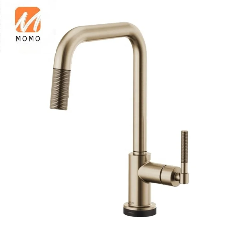 

Pattern Spot Resist Kitchen Sink Faucet for Famous Brand