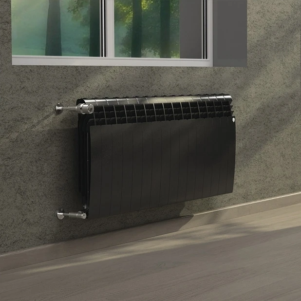 Radiator Royal Thermo BiLiner 500 new Noir Sable - 10 sections | Обустройство дома