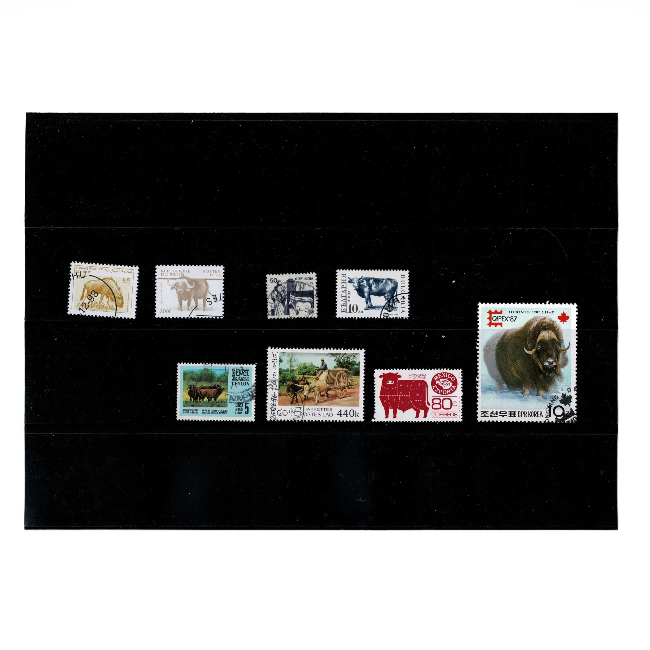 50 шт. топовые марки OX от Word без повторов настоящий оригинал используется с