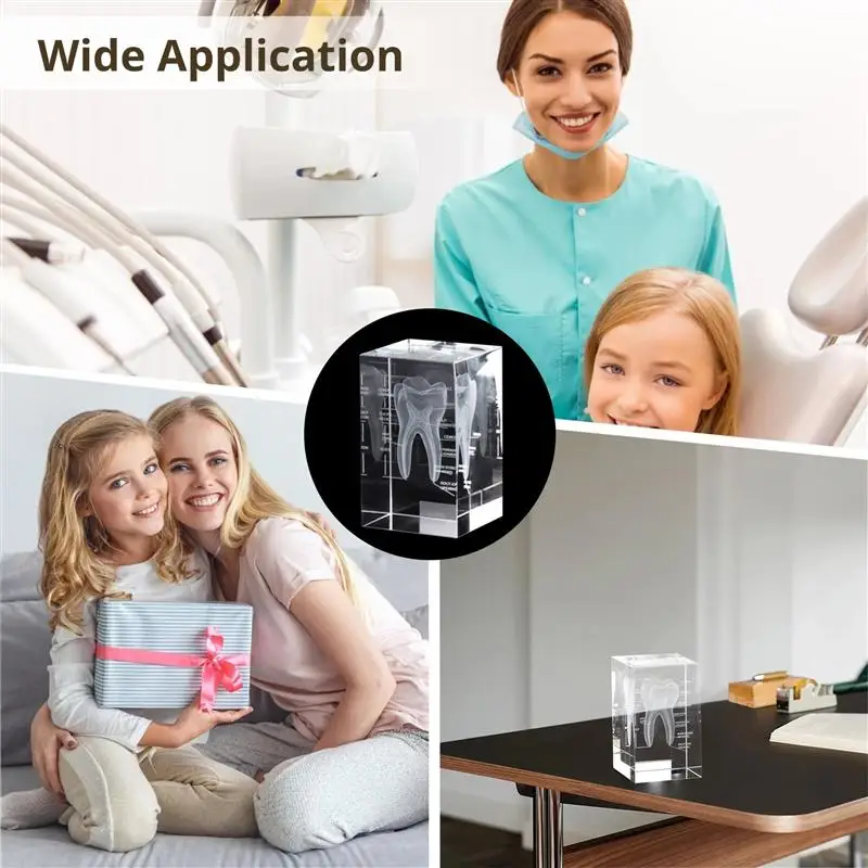 3D Crystal Human Tooth Model Cubic Laser Etched Anatomical For Home And Office Hospital Decoration Dentists Gifts