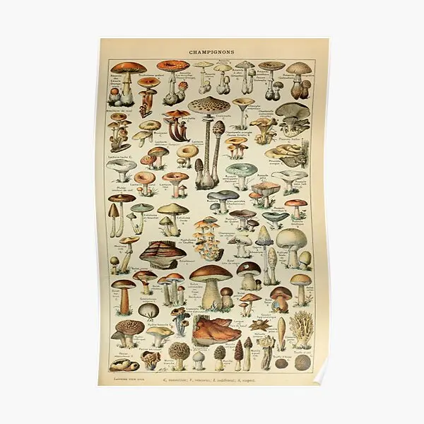 

Винтажный женский домашний декор, картина, Современная Настенная живопись, роспись, печать, забавная комната, винтажное украшение, без рамки