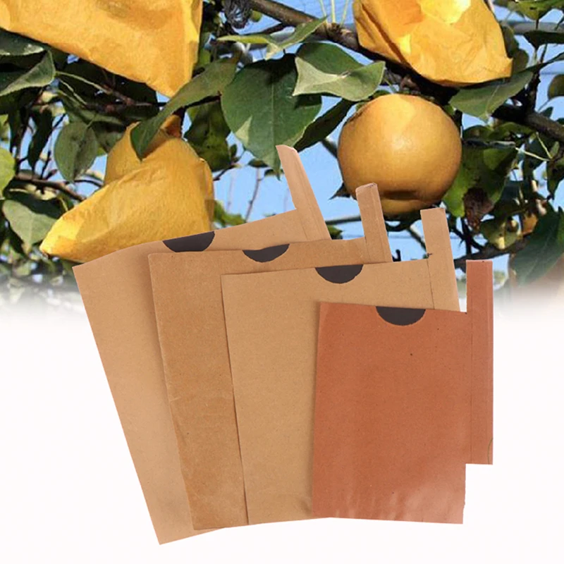

100PCS Fruit Protection Paper Bags For Loquat Mango Grapes Paper Bags Anti Insect Birds Pouch Waterproof Pest Control Garden