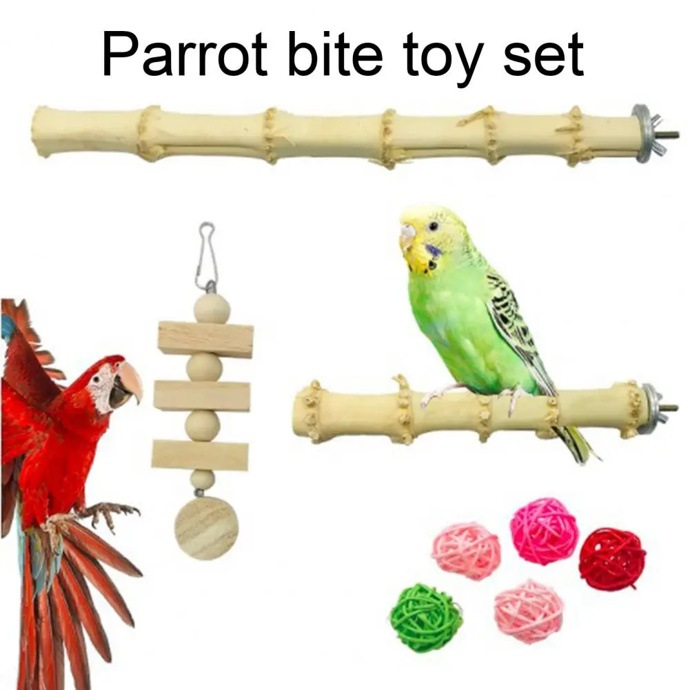 View of Macaw Stand | Cagesbird