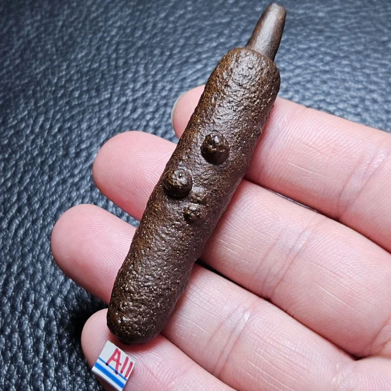 Высоконатуральный Египетский черный камень Кинг-Конга, обучающий минеральный образец для дома, украшения фэн-шуй и праздничный подарок борис борисович батыршин египетский манускрипт