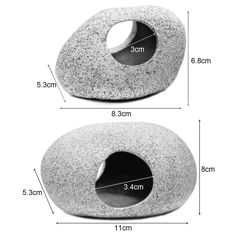Рыбный рок-будиночок нежная натуральная среда обитания пещера экологически