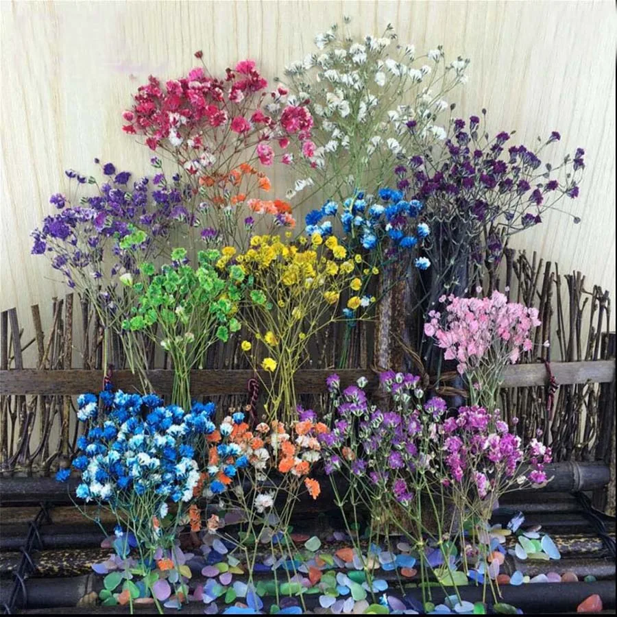 

60pcs Dried Pressed Absorbed Color Baby's Breath Plant Herbarium For Jewelry Photo Frame Phone Case Bookmark DIY Craft Making