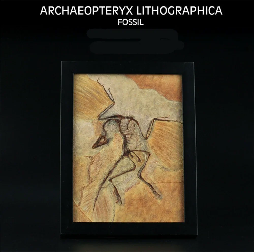

Фоторамка Vitae Archaeopteryx из смолы