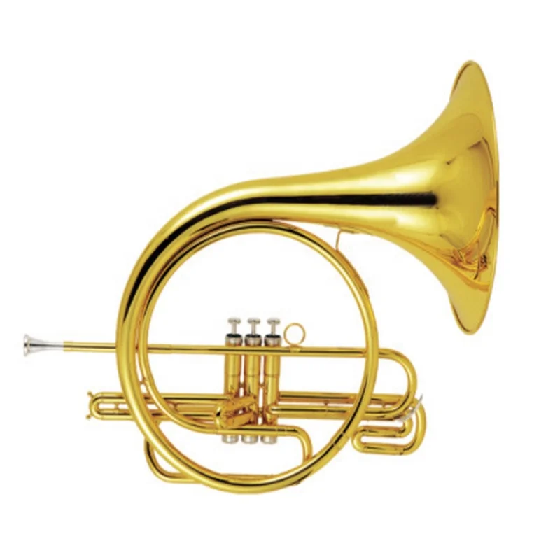 

Accept OEM Cheap Bb 3 Key Pistons Gold French Horn