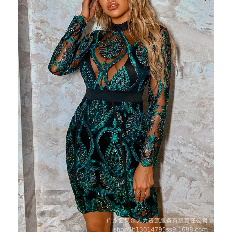

Women's Dress Sexy Lace Mesh See-through Sequined Embroidered Dress Women's Long Sleeve O-Neck Slim High Waist Lace Mini Dress