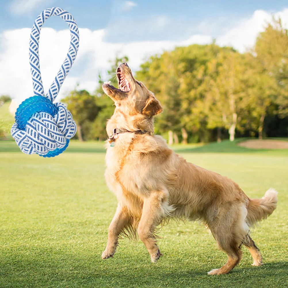 

Жевательная игрушка для домашних животных, мягкая жевательная игрушка для чистки животных, не токсичная