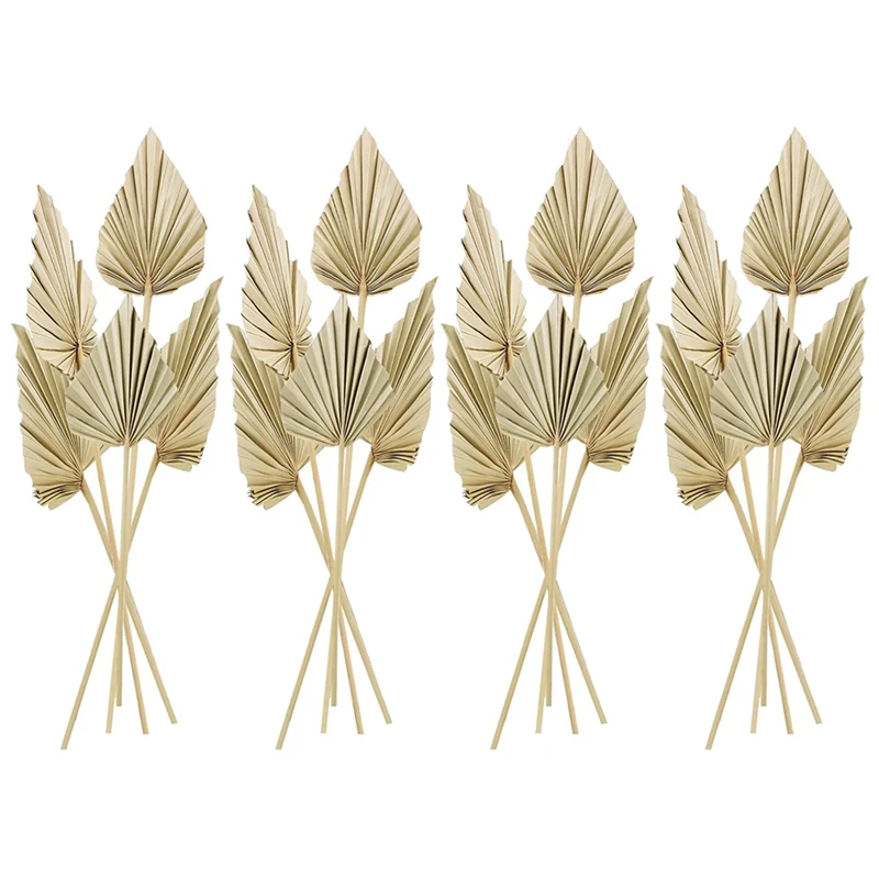 

20Pcs Boho Dried Palm Spears Leaves Small Dried Real Palm Fans Dried Palm Leaves With Stem Dried Leaf Decor Vase