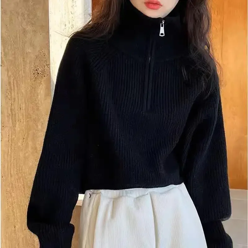 2024 новый стиль корейская версия свободный крой воротник-стойка чувственный