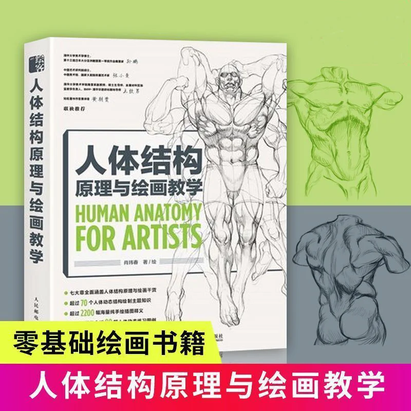 

New Principles of Human Body Structure and Painting Teaching Book Human Body Structure Basic Tutorial Books