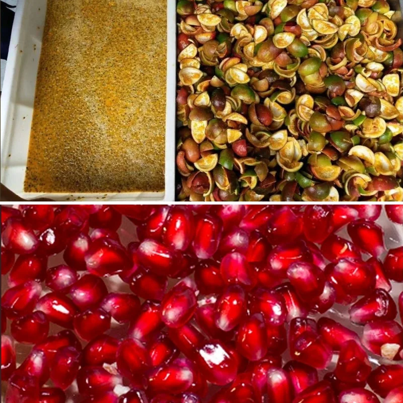 Овощечистка для граната Машина очистки экстракта кожуры удаления стеблей