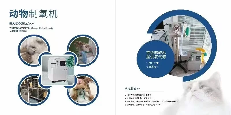 5-литровый концентратор Ox Fisk Hospital 5-литровая кислородная поставка для больниц