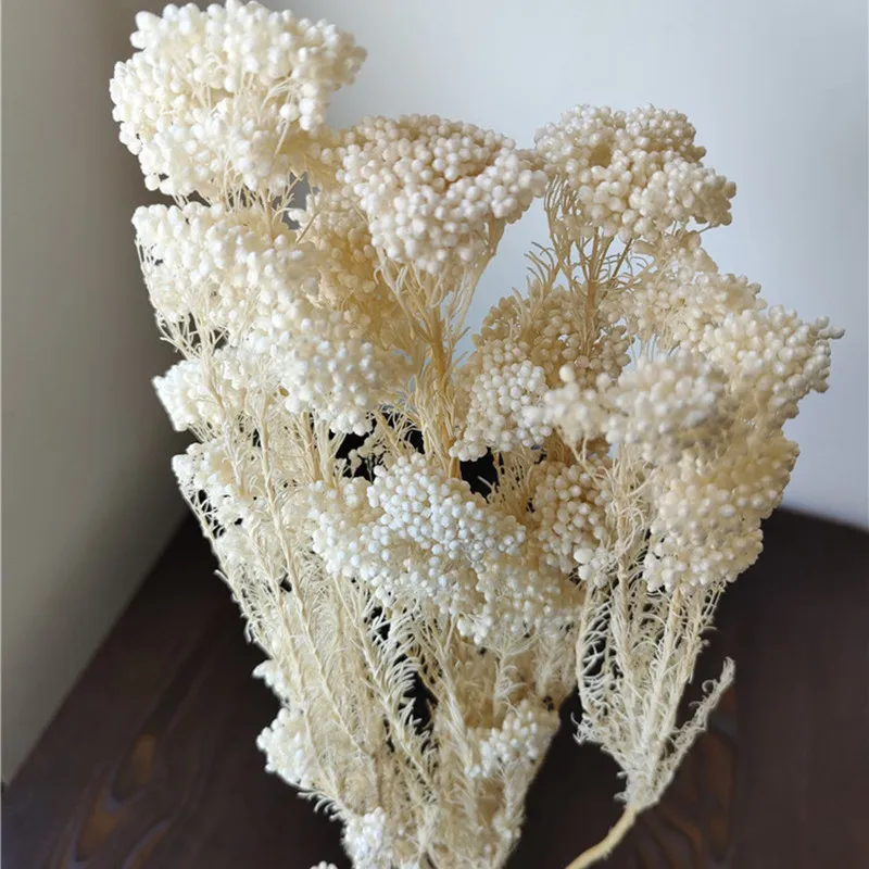 50g Natural Millet Fruit Dried Flower    living Room  Wedding Decoration Artificial Flower Swedding Gifts For Guests Pampas