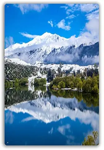 

Забавные Ретро Кафе Магазин металлические жестяные знаки Настенный декор красивое спокойное озеро