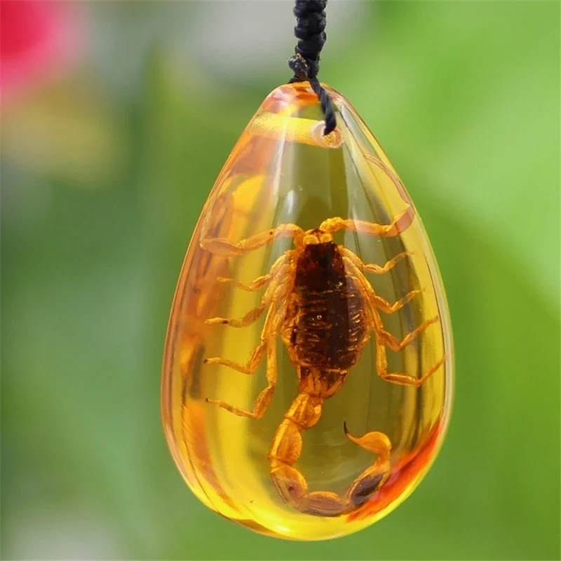 

Decorative Stone Wedding Party Travel Gift Insect Stone Natural Scorpions Inclusion Amber Baltic Pendant Necklace Home