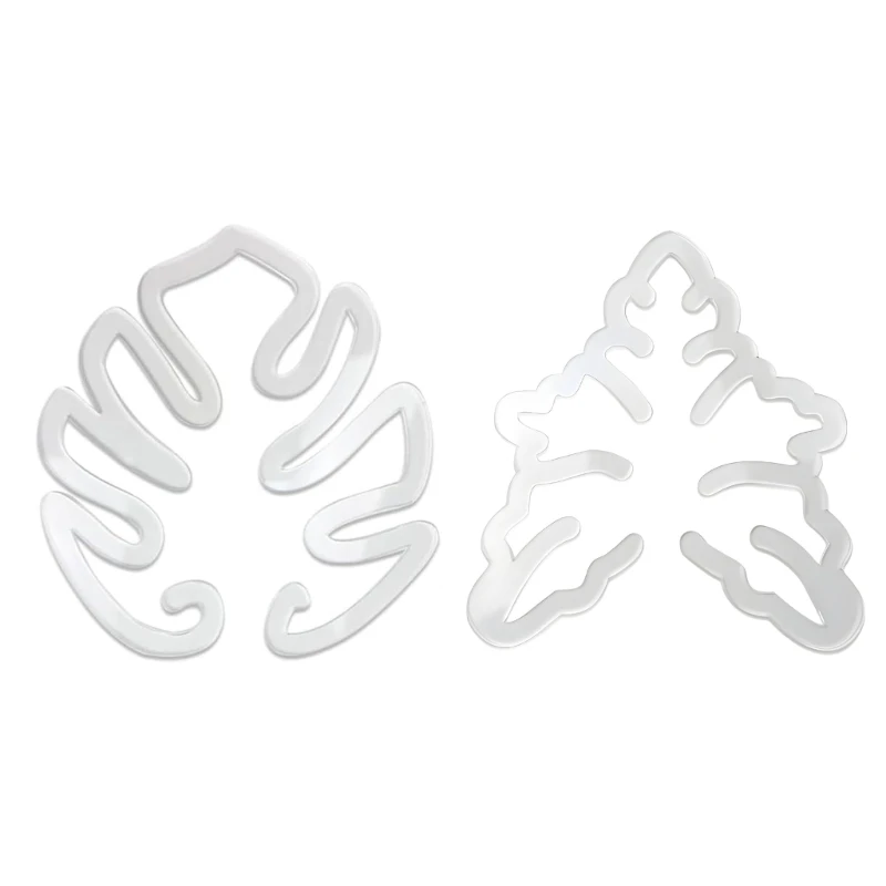 Прочный акриловый завод Монстера захватывает уникальную эстетическую поддержку