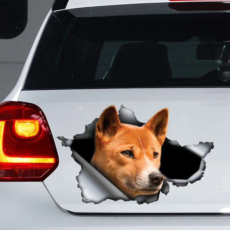 

Dingo decal, Dingo car sticker, Dingo magnet, car decal