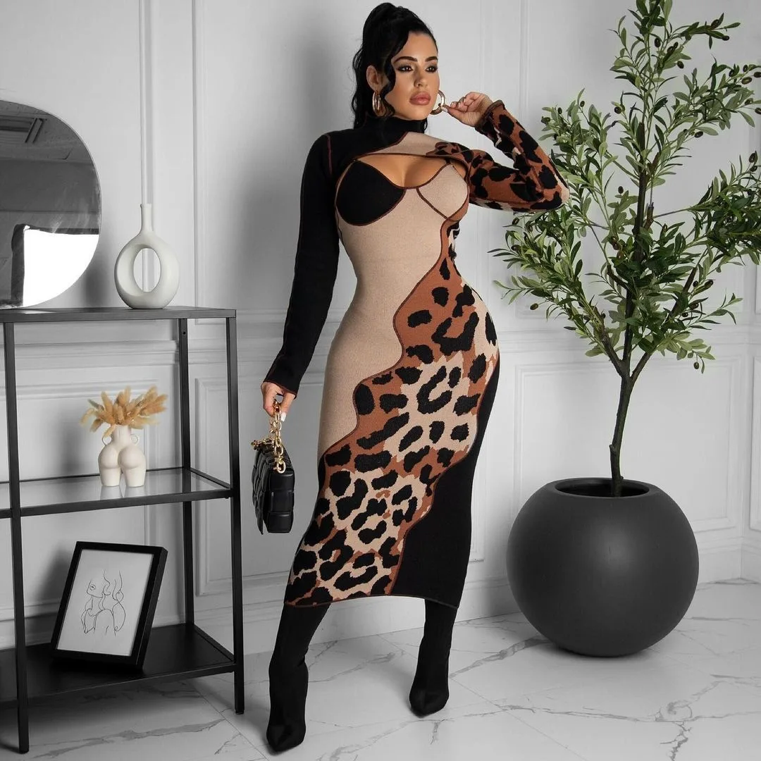 

Luxvision Dresses Leopard Print Patchwork Dress Set