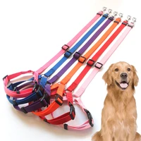 sturdy pet car leash adjustable car rear seat pet seat belt suitable for small dog cat safety rope pet accessories drop shipping