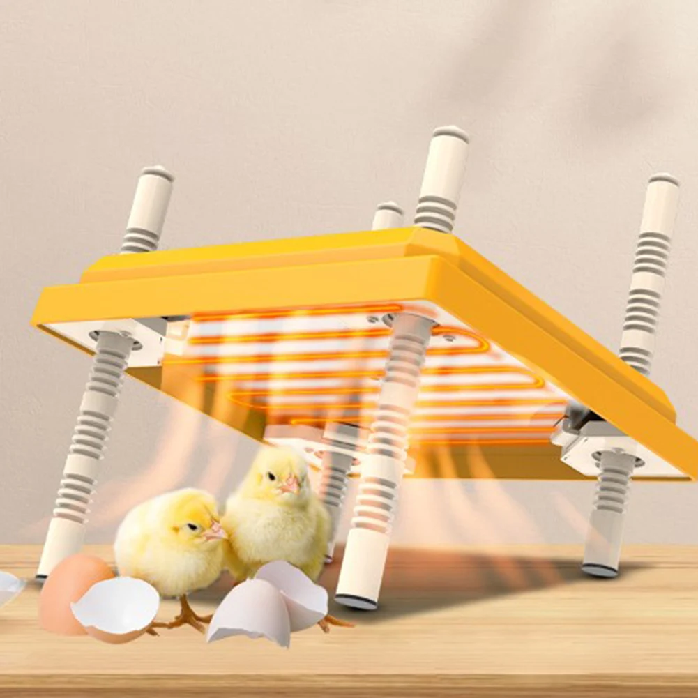 

Chicks Heating With Adjustable Plate Brooder Temperature For Height Brooder Display Chick Heater