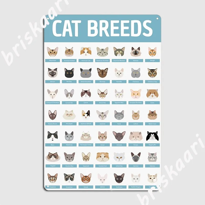 

Металлический плакат с изображением кошки, пород, стены, паба, клуба, бара, индивидуальный настенный фотопостер