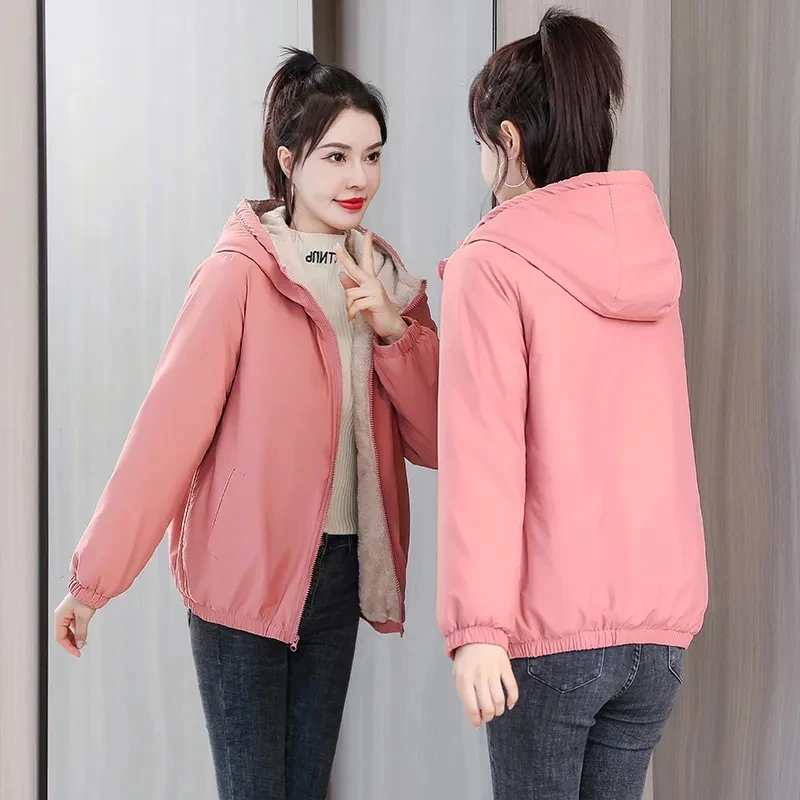 Down Cotton Jacket Womens 2022 Winter New Fashion Loose Versatile Slim Padded Jacket Women Large Size Hooded Plus Velvet Parkas