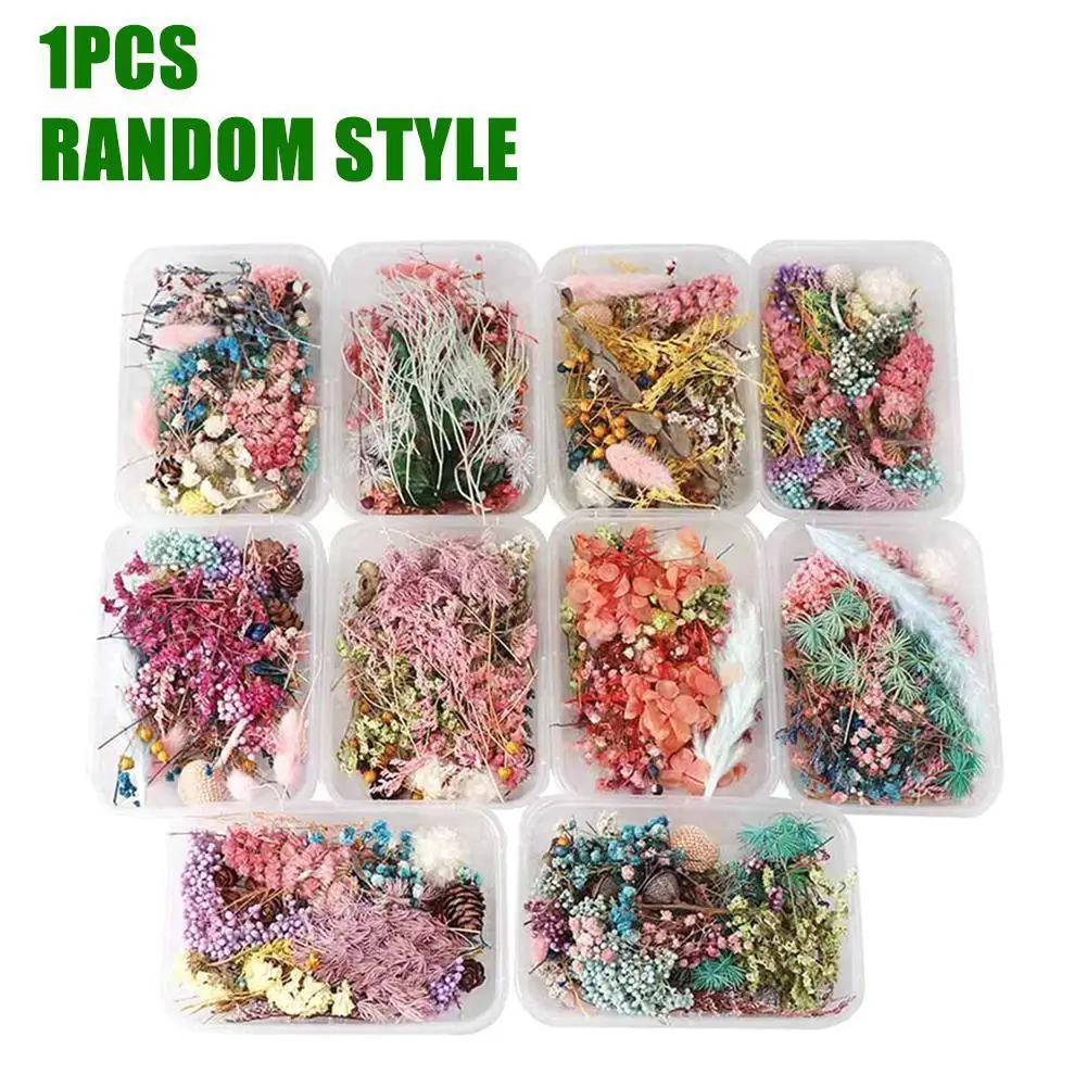 

1 Box Mix Dried Flowers For Resin Jewellery Dry Plants Pressed Flowers Making Craft Dried Flowers Box For DIY Silicone Mold W2R9