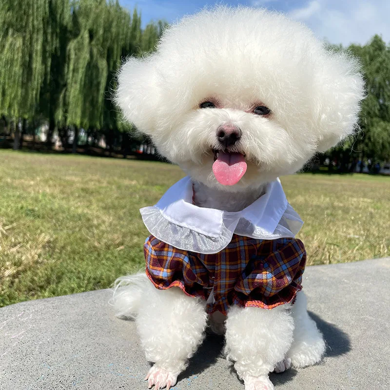 Новинка одежда для собак Ins кружевная рабочая мишка тедди корги маленькая собака